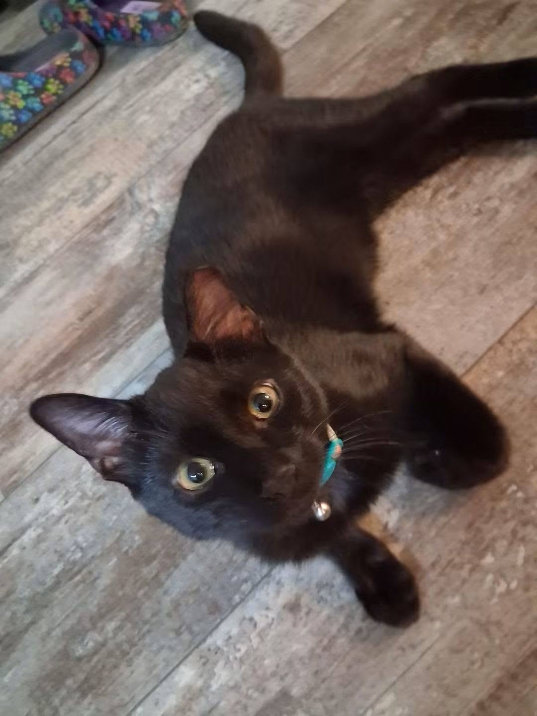 Photo of Mr Sam